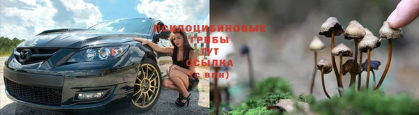 соль ск Верхний Тагил
