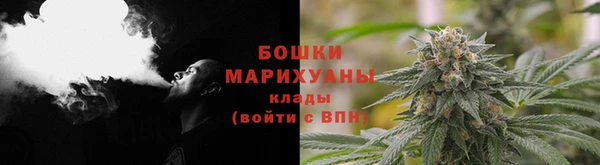 соль ск Верхний Тагил